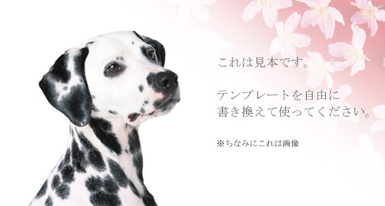 ̉摜ł